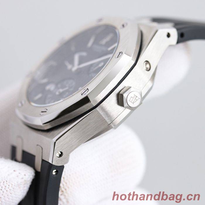 Audemars Piguet Watch APW00023